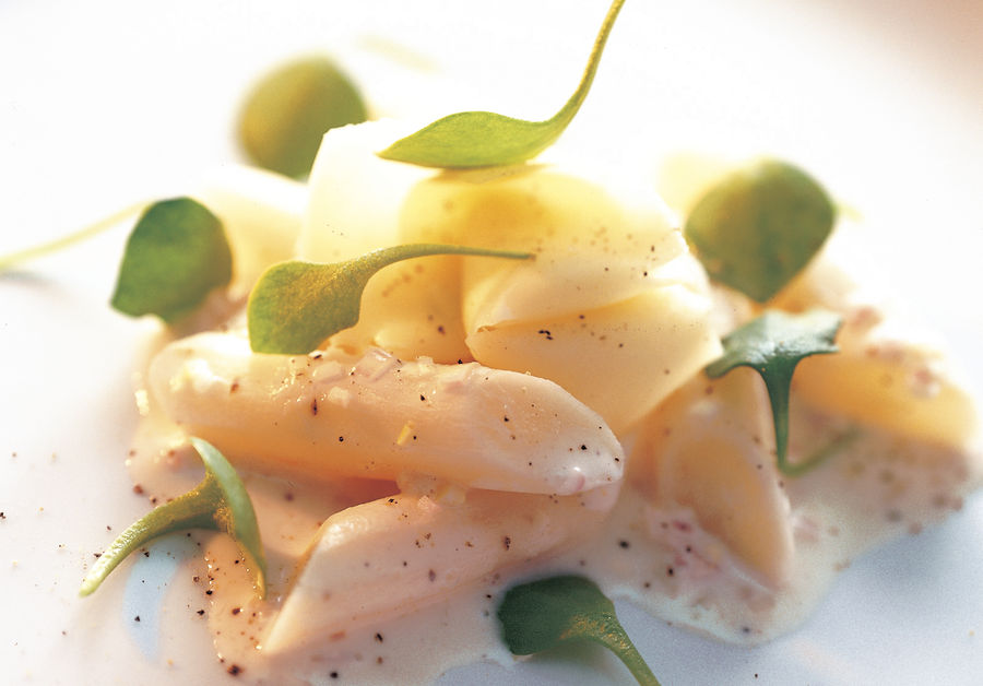 Tilsiter op postelein en schorsenerensalade met honingvinaigraitte