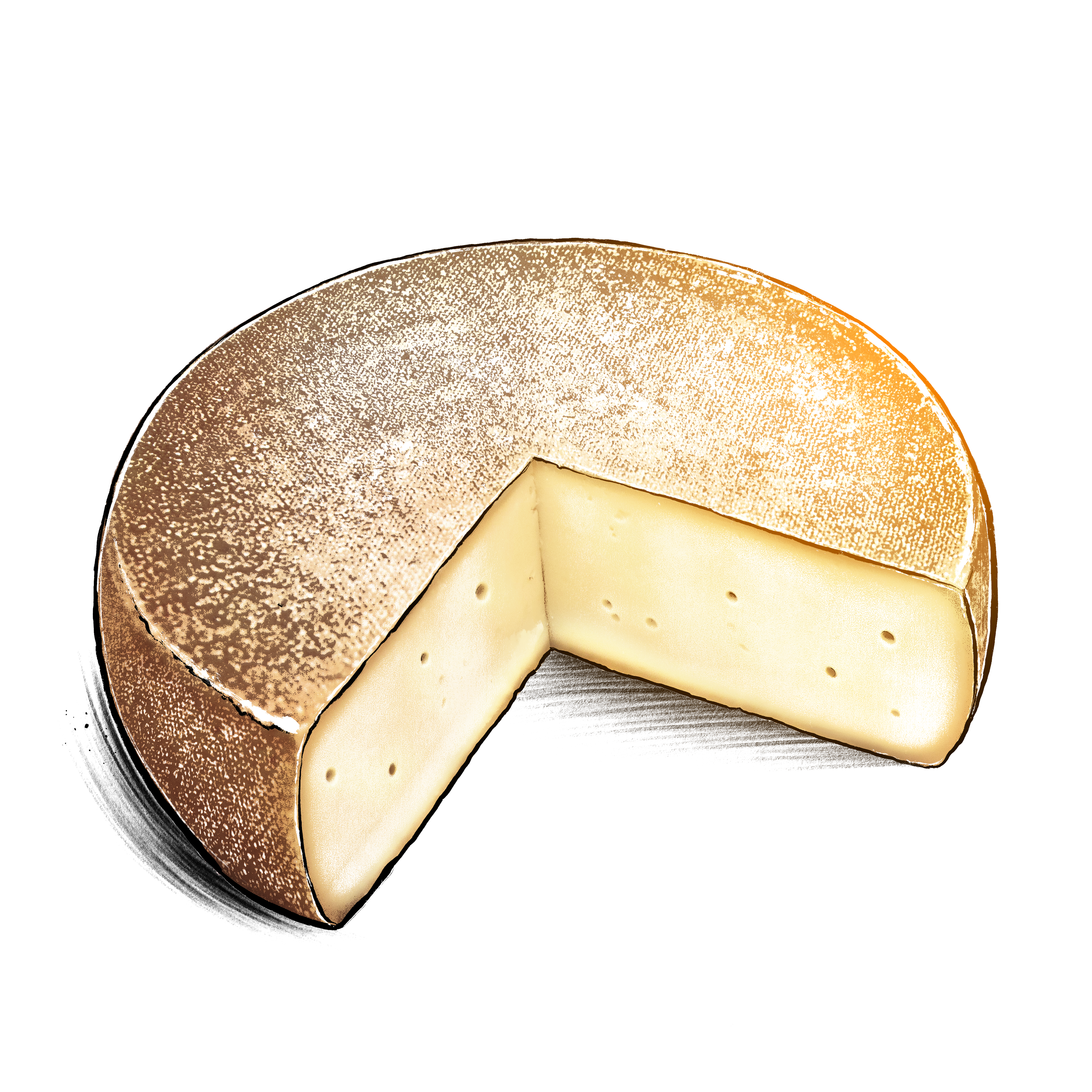 Halbhartkaese.png